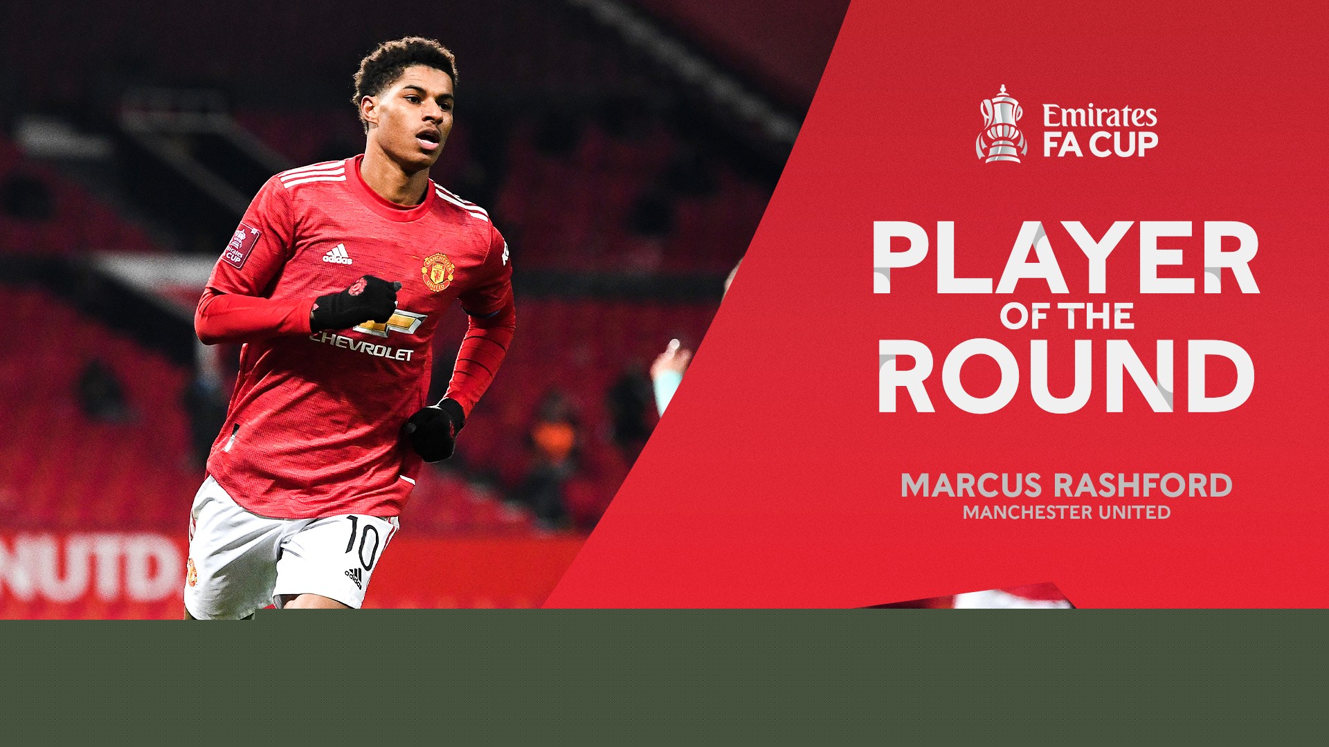 催化燃烧传感器